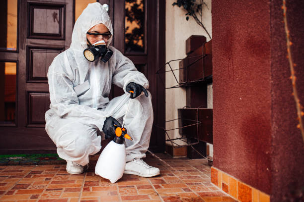 Attic and Crawl Space Rodent Treatment in West Slope